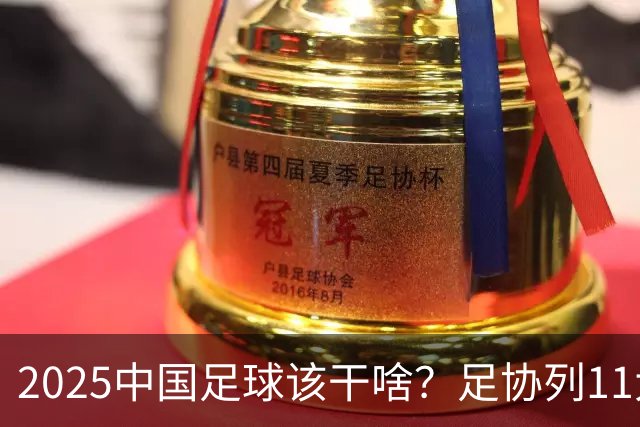 2025中国足球该干啥？足协列11大任务！